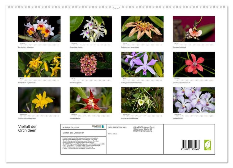 Produktbild: Vielfalt der Orchideen (hochwertiger Premium Wandkalender 2026 DIN A2 quer), Kunstdruck in Hochglanz