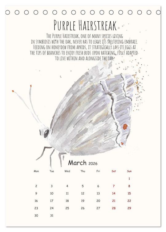 Produktbild: Symbiosis, the story of collaborations in nature (Desk Calendar 2026 DIN A5 portrait), CALVENDO 12 Month DeskCalendar