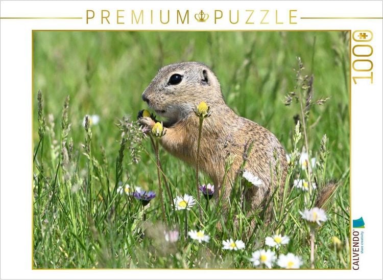 Produktbild: CALVENDO Puzzle Immer wieder lecker | 1000 Teile Lege-Gr&ouml;&szlig;e 64x48cm Foto-Puzzle f&uuml;r gl&uuml;ckliche Stunden