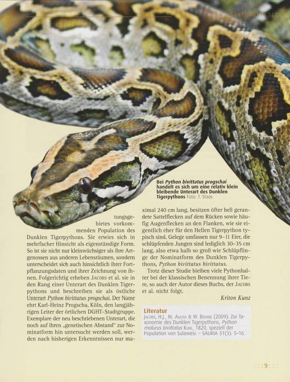 Produktbild: Tigerpythons