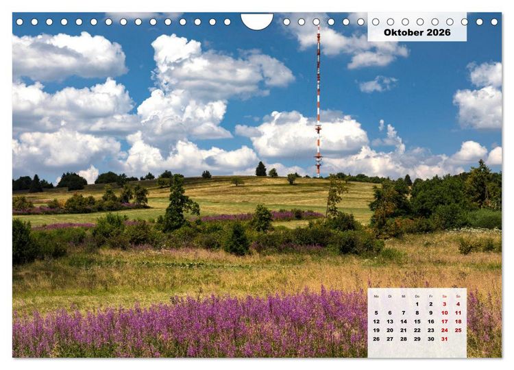 Produktbild: Rh&ouml;ner R&ouml;schen - ein Sommerm&auml;rchen in der Hochrh&ouml;n (Wandkalender 2026 DIN A4 quer), CALVENDO Monatskalender