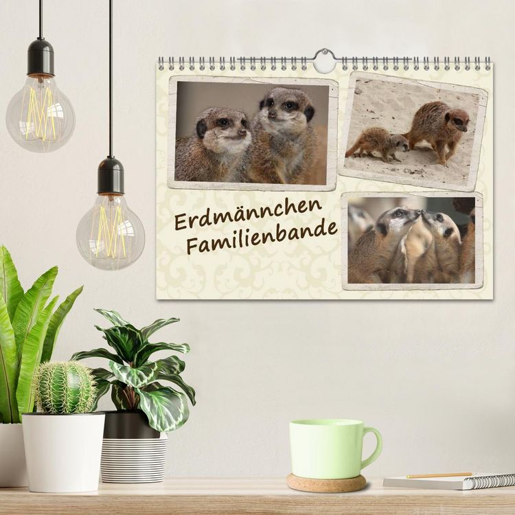 Produktbild: Erdm&auml;nnchen Familienbande (Wandkalender 2026 DIN A4 quer), CALVENDO Monatskalender