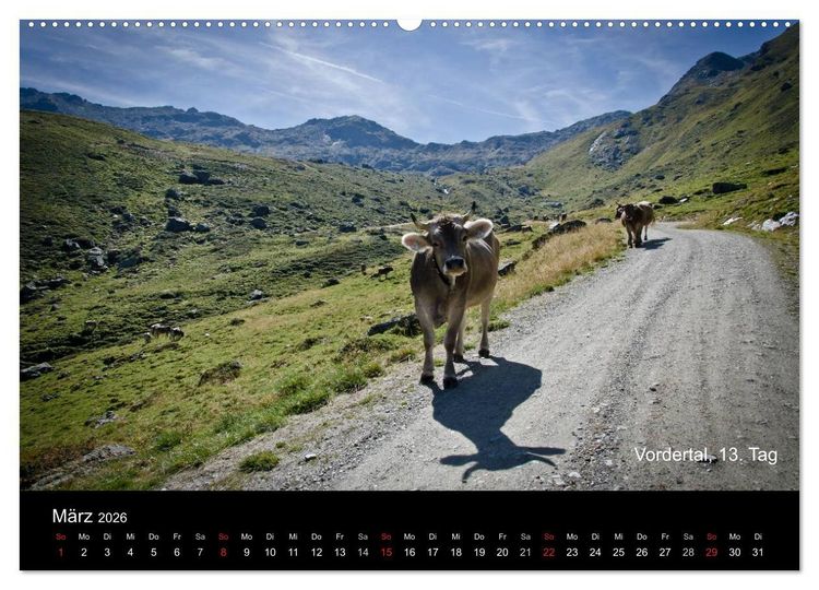 Produktbild: TransAlp - zu Fu&szlig; &uuml;ber die Alpen von M&uuml;nchen nach Venedig (Wandkalender 2026 DIN A2 quer), CALVENDO Monatskalender