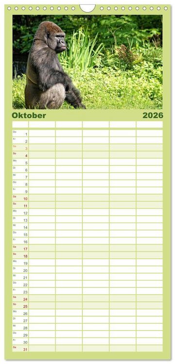 Produktbild: Familienplaner 2026 - Gorillas - Die sanften Wilden mit 5 Spalten (Wandkalender, 21 x 45 cm) CALVENDO