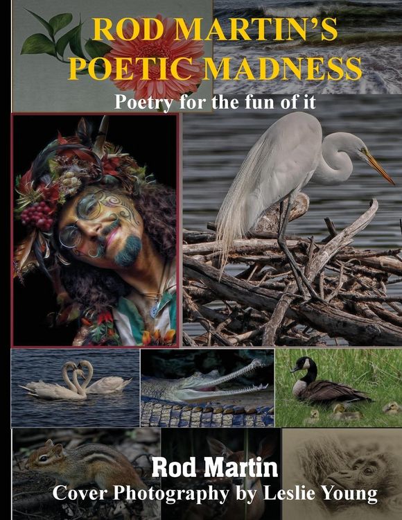 Produktbild: Rod Martin's Poetic Madness