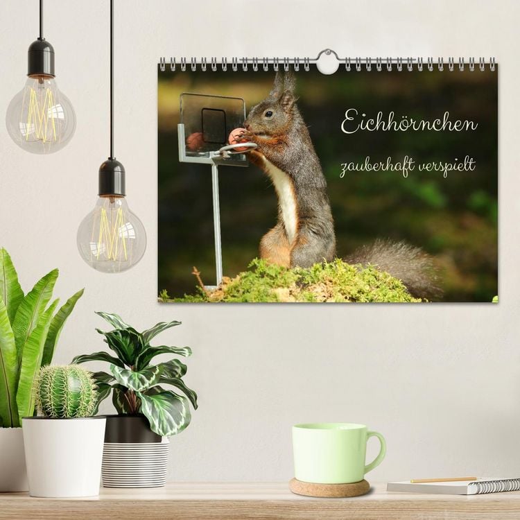 Produktbild: Eichh&ouml;rnchen - zauberhaft verspielt (Wandkalender 2026 DIN A4 quer), CALVENDO Monatskalender