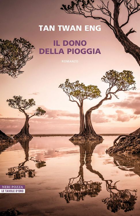 Produktbild: Il dono della pioggia