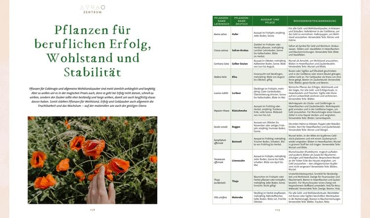 Produktbild: Magie im Hexengarten – Gärtnern mit grüner Magie