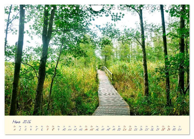 Produktbild: OSTSEEGL&Uuml;CK - Gl&uuml;cksmomente auf dem Dar&szlig; (Wandkalender 2026 DIN A4 quer), CALVENDO Monatskalender