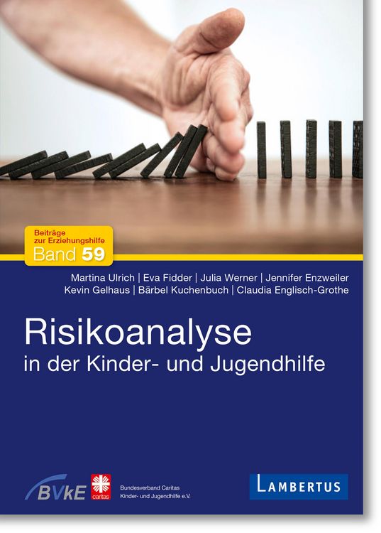 Produktbild: Risikoanalyse in der Kinder- und Jugendhilfe