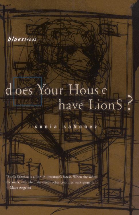Produktbild: Does Your House Have Lions?
