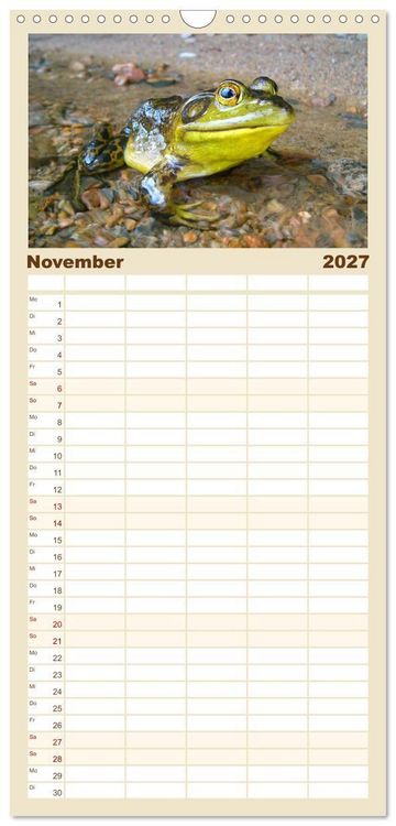 Produktbild: Familienplaner 2027 - Fr&ouml;sche - Die wundersch&ouml;ne Welt der bunten H&uuml;pfer. mit 5 Spalten (Wandkalender, 21 x 45 cm) CALVENDO