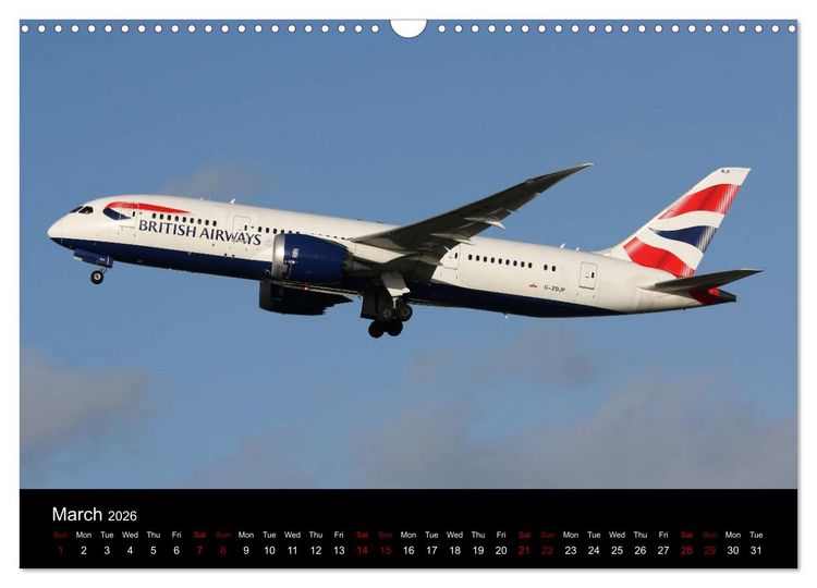 Produktbild: 787 - The Dream Liner (Wall Calendar 2026 DIN A3 landscape), CALVENDO 12 Month Wall Calendar