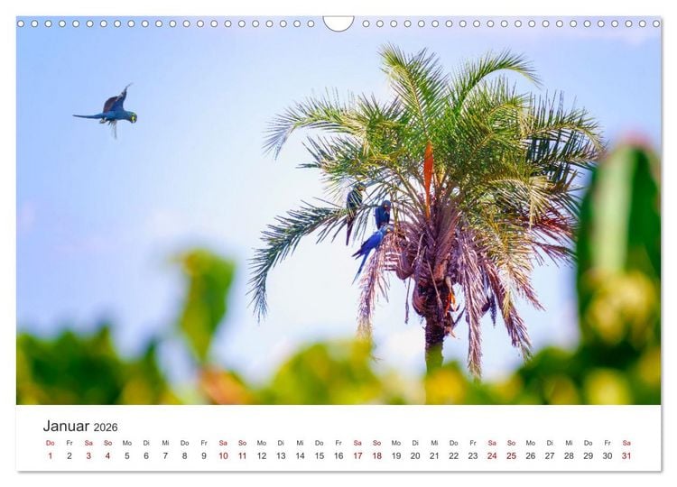 Produktbild: Brasilien - Karnevale, Fu&szlig;ball und Regenw&auml;lder. (Wandkalender 2026 DIN A3 quer), CALVENDO Monatskalender
