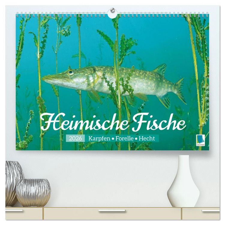 Produktbild: Heimische Fische: Karpfen, Forelle, Hecht (hochwertiger Premium Wandkalender 2026 DIN A2 quer), Kunstdruck in Hochglanz