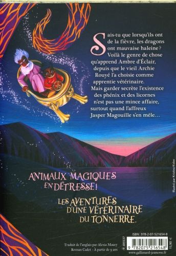 Produktbild: Ambre d'Eclair et l'appel des dragons