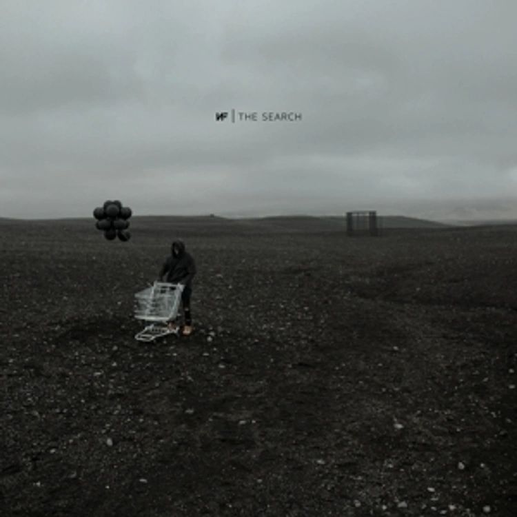Produktbild: The Search (2LP)