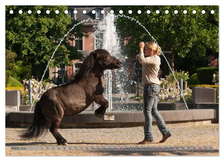 Produktbild: Natural Horsemanship - Partnerschaft mit Pferden (Tischkalender 2026 DIN A5 quer), CALVENDO Monatskalender