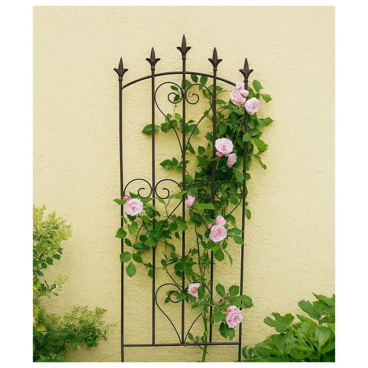 Produktbild: HTI-Living Produkt 41798 Artikel 53724