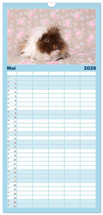 Produktbild: Familienplaner 2026 - Niedliche Meerschweinchen mit 5 Spalten (Wandkalender, 21 x 45 cm) CALVENDO