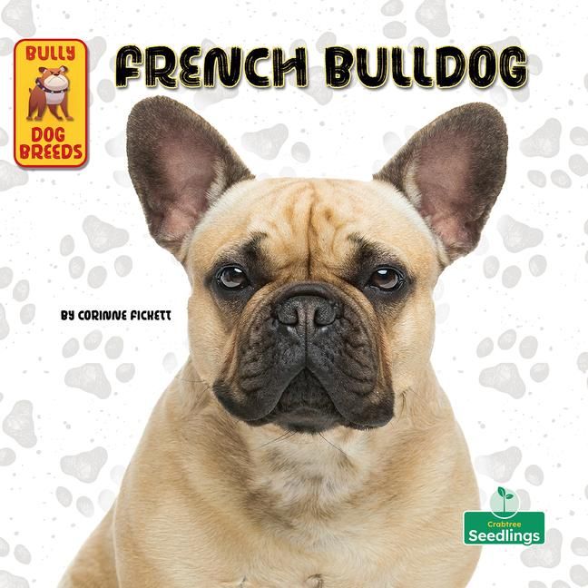 Produktbild: French Bulldog