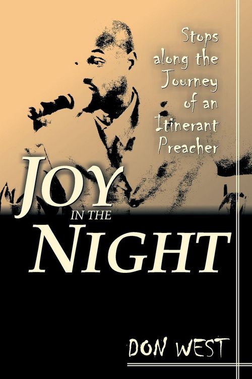 Produktbild: Joy in the Night