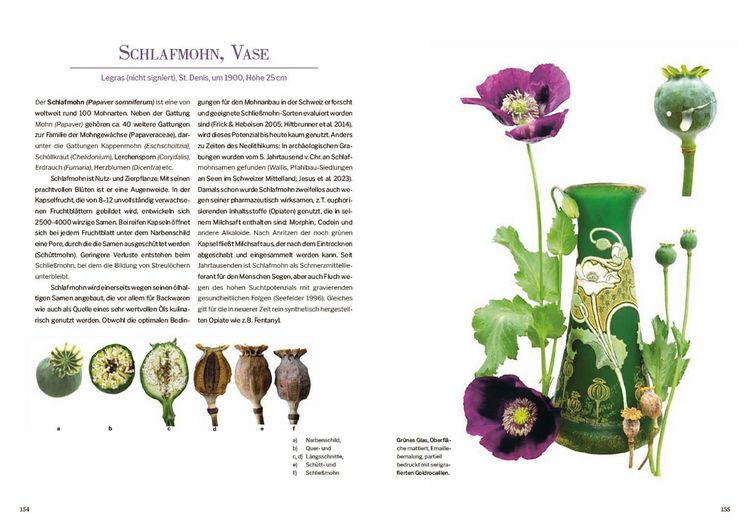 Produktbild: Das Herbarium floraler Dekore