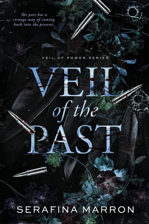 Produktbild: Veil of the Past