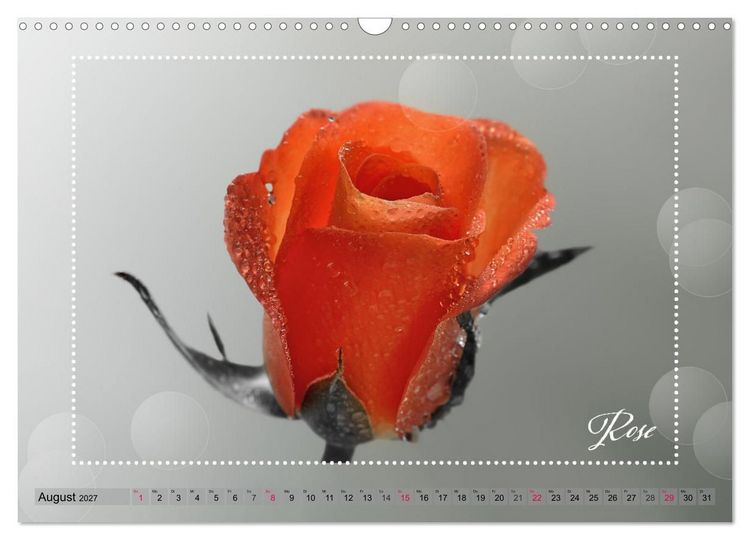 Produktbild: Bl&uuml;tenbouquet (Wandkalender 2027 DIN A3 quer), CALVENDO Monatskalender