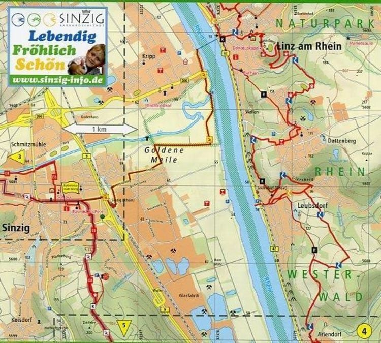 Produktbild: RheinBurgenWeg Wanderkarte 1 : 25 000