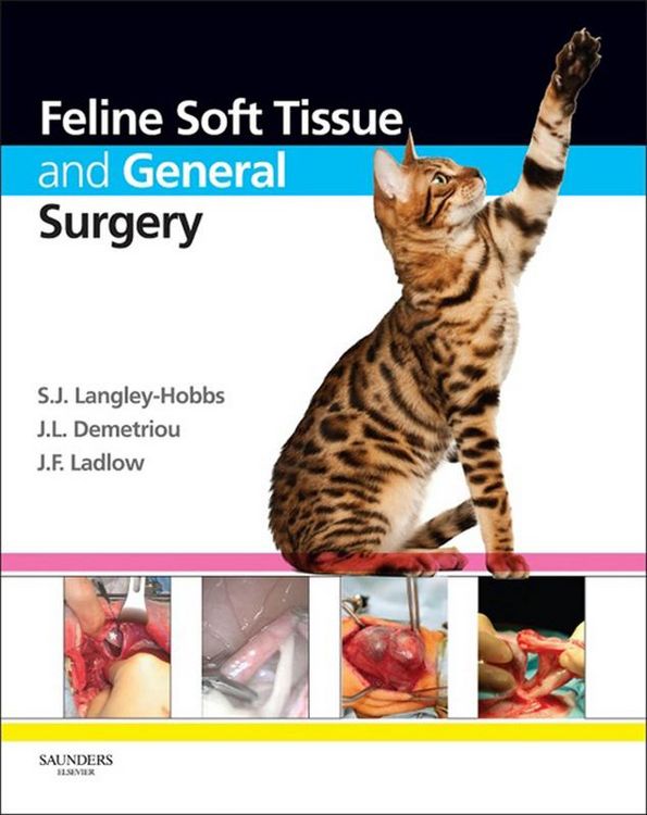 Produktbild: Feline Soft Tissue and General Surgery E-Book