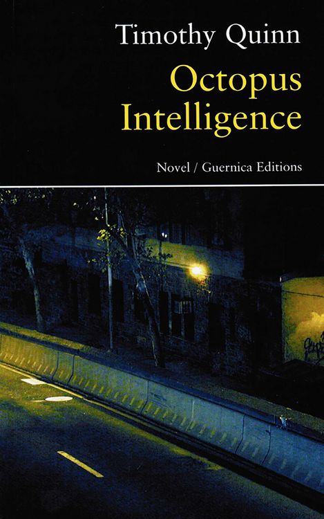 Produktbild: Octopus Intelligence:
