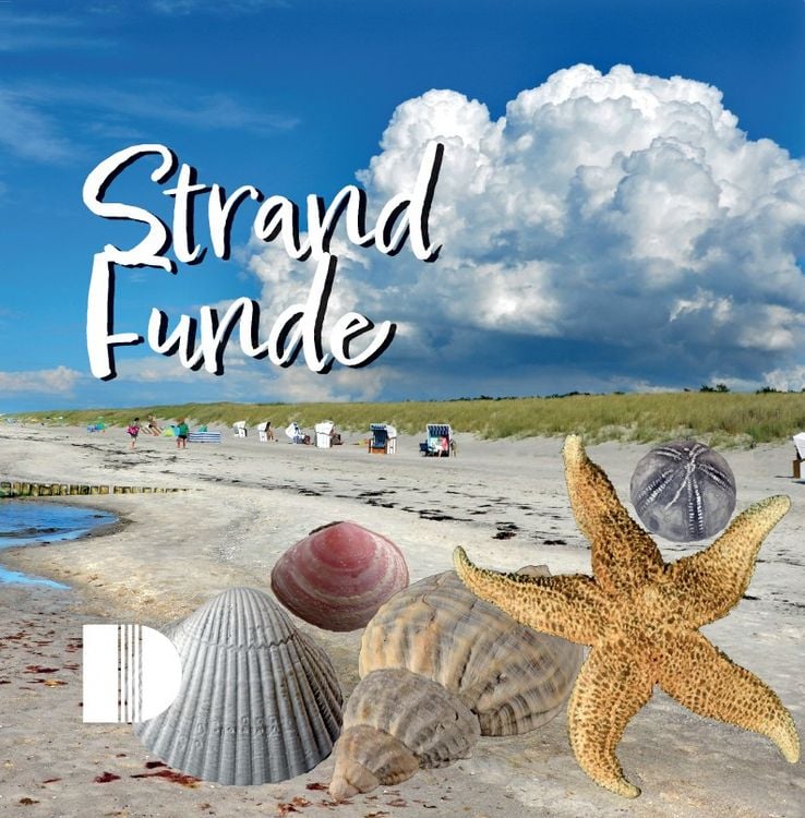 Produktbild: Strandfunde am Ostseestrand