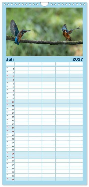Produktbild: Familienplaner 2027 - Alcedo atthis. Der Eisvogel mit 5 Spalten (Wandkalender, 21 x 45 cm) CALVENDO