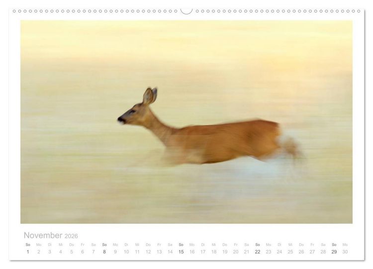 Produktbild: Rehwild 2026 (hochwertiger Premium Wandkalender 2026 DIN A2 quer), Kunstdruck in Hochglanz