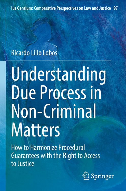 Produktbild: Understanding Due Process in Non-Criminal Matters