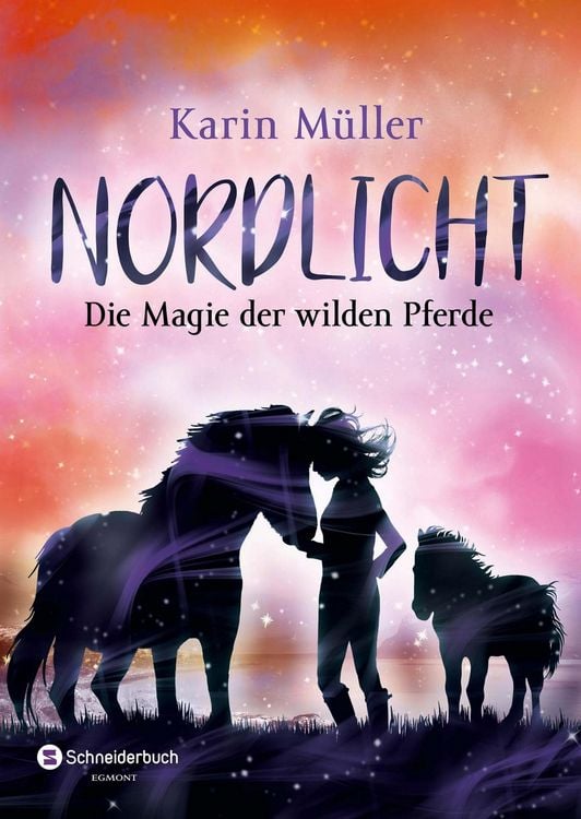 Produktbild: Nordlicht, Band 03