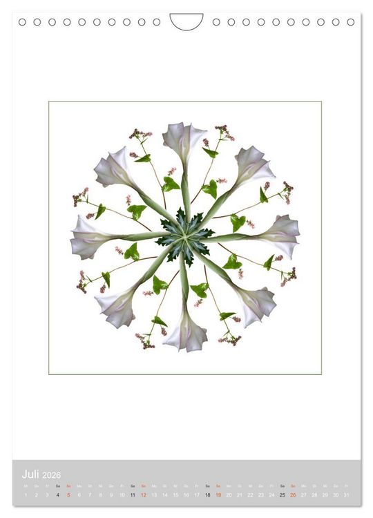 Produktbild: Pflanzen - Mandalas aus Bl&uuml;ten und Bl&auml;ttern (Wandkalender 2026 DIN A4 hoch), CALVENDO Monatskalender