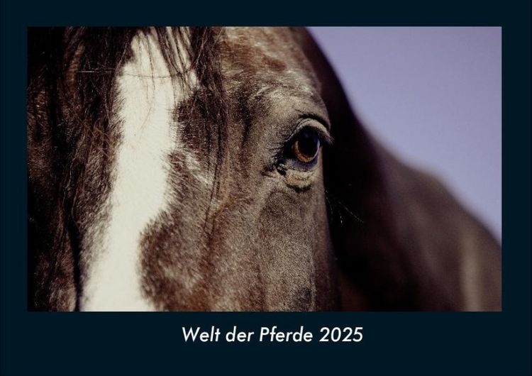 Produktbild: Welt der Pferde 2025 Fotokalender DIN A4