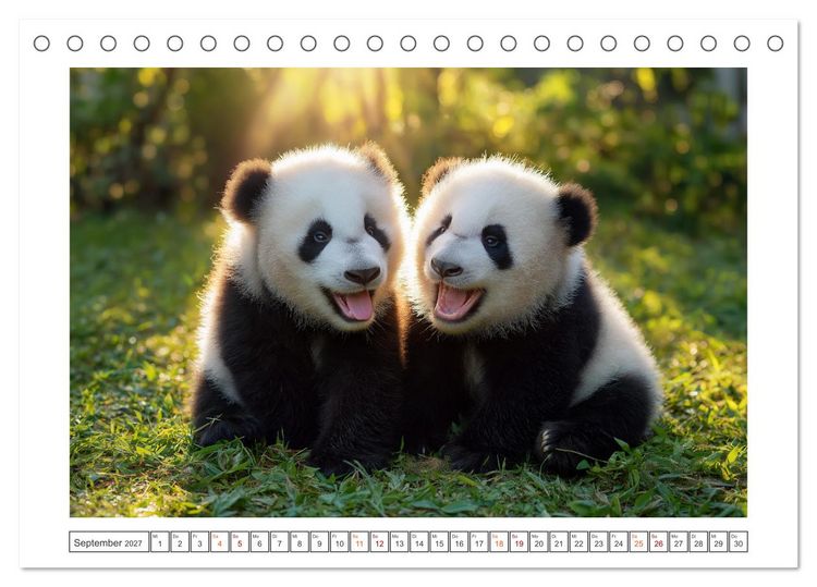 Produktbild: Panda Magie (Tischkalender 2027 DIN A5 quer), CALVENDO Monatskalender