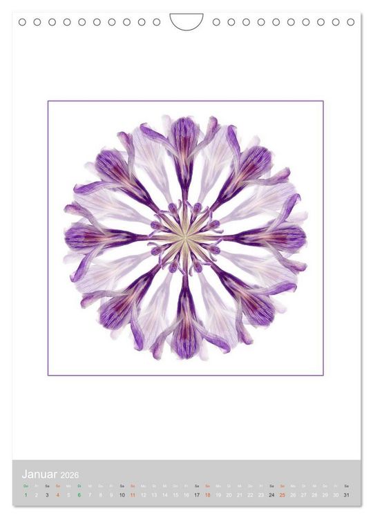 Produktbild: Pflanzen - Mandalas aus Bl&uuml;ten und Bl&auml;ttern (Wandkalender 2026 DIN A4 hoch), CALVENDO Monatskalender