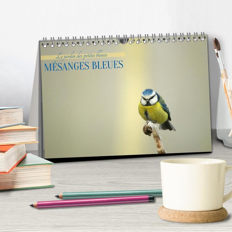 Produktbild: M&eacute;sanges bleues (Calendrier de bureau 2027 DIN A5 vertical), CALVENDO calendrier mensuel