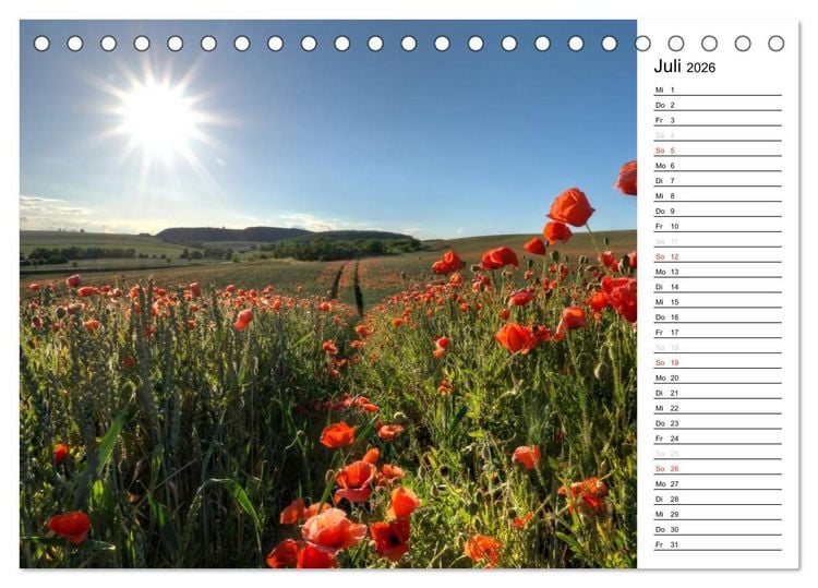 Produktbild: Ein Traum von Mohn (Tischkalender 2026 DIN A5 quer), CALVENDO Monatskalender