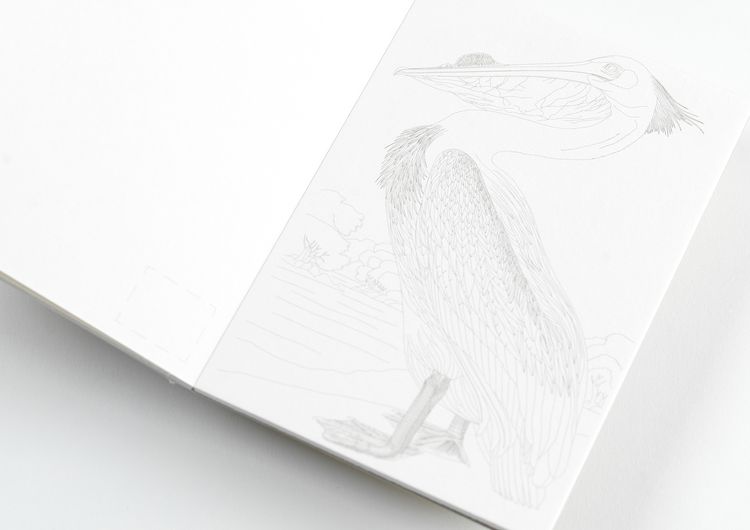 Produktbild: Natural History