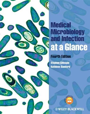 Produktbild: Medical Microbiology and Infection at a Glance