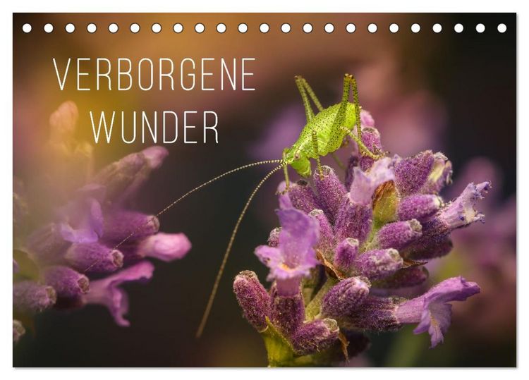 Produktbild: Verborgene Wunder (Tischkalender 2026 DIN A5 quer), CALVENDO Monatskalender