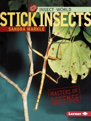Produktbild: Stick Insects