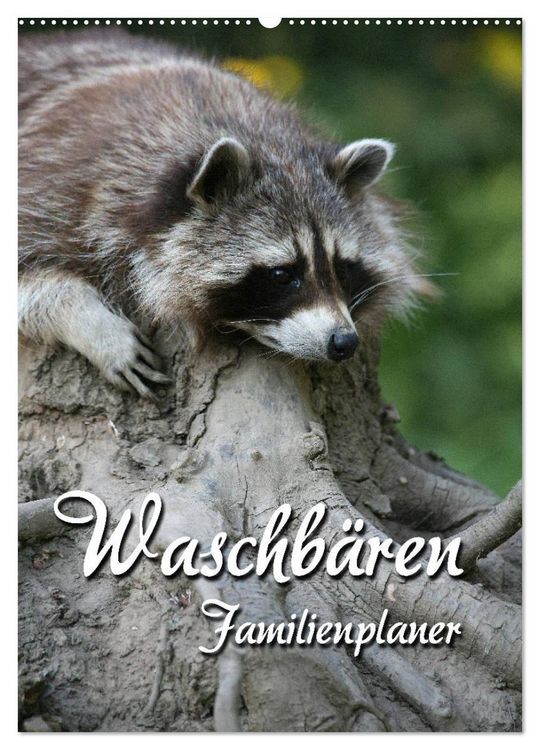 Produktbild: Waschb&auml;ren Familienplaner (Wandkalender 2026 DIN A2 hoch), CALVENDO Monatskalender