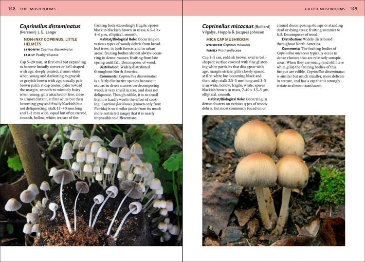 Produktbild: Mushrooms of the Southeast