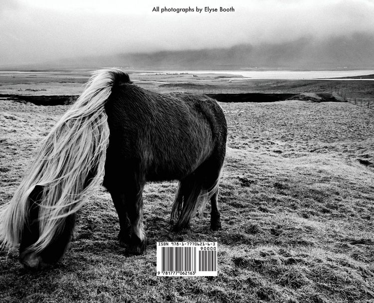 Produktbild: Iceland